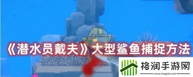 潜水员戴夫怎么捕捉大型鲨鱼