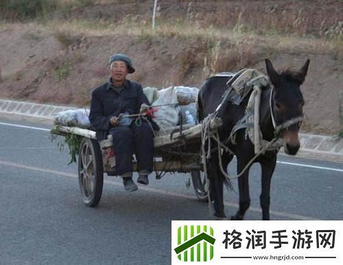 傻大壮驴事非凡