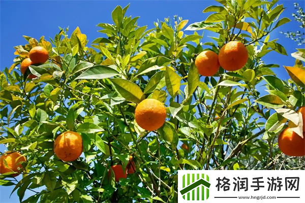 2025海龟汤题目和答案全套