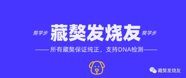 国产羞羞站内容丰富多样用户体验不错但希望能增加更多互动功能