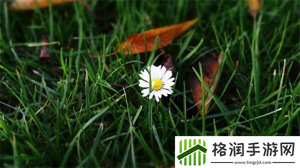 快递员的特殊待遇3