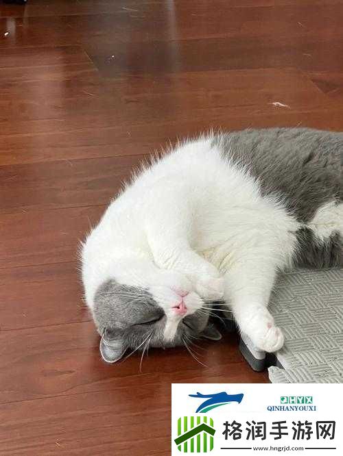 下面噗噗的响是什么原因造成的以及相关解决办法探讨