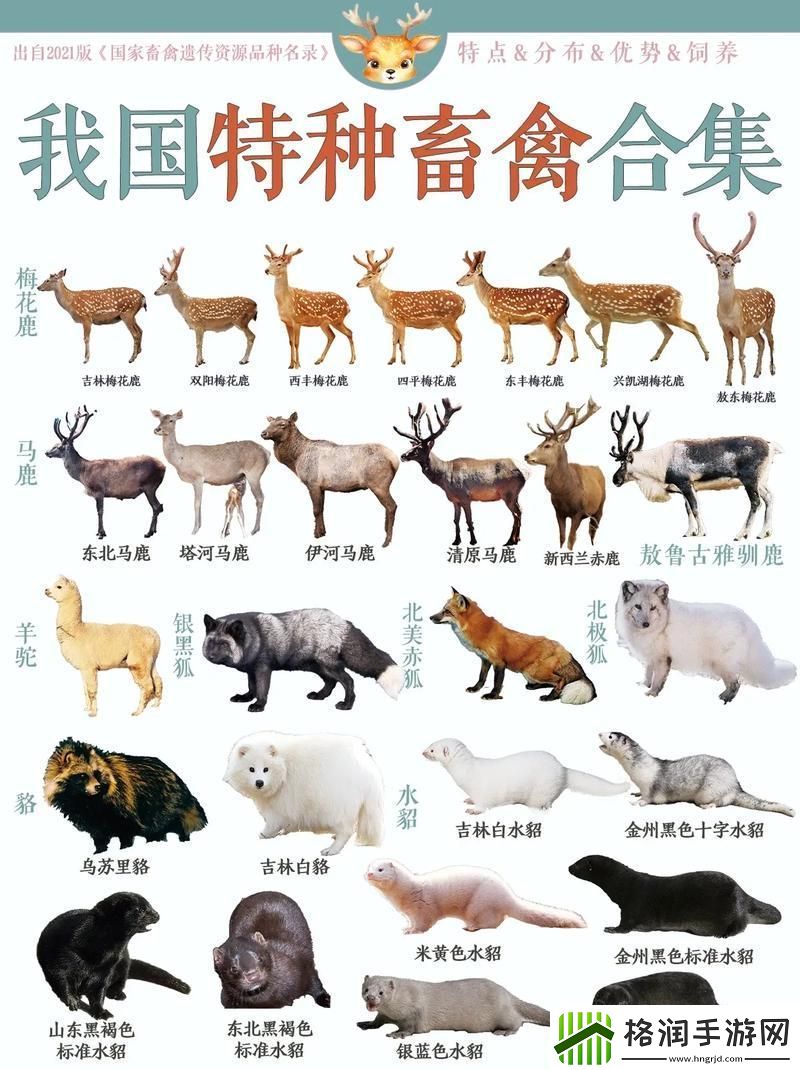 **“兽合”奇谭