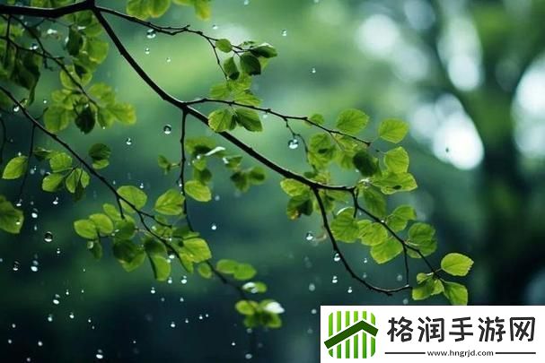 春雨可约可空降