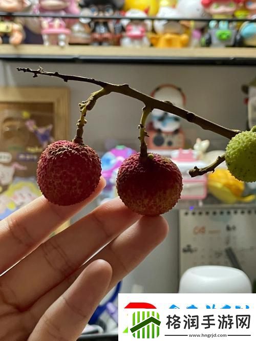 已经塞了八颗荔枝了窦寇儿