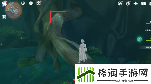 原神干枯的种子有什么用