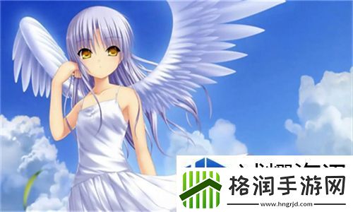 精彩纷呈的夜空