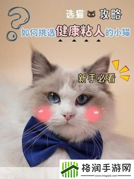 柚子猫yuzukitty的情人节礼物1.柚子猫Yuzukitty情人节甜蜜礼物大揭秘