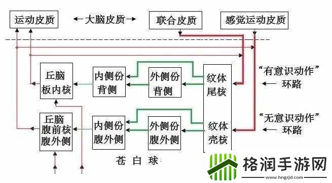 人马是如何进行交流配对的