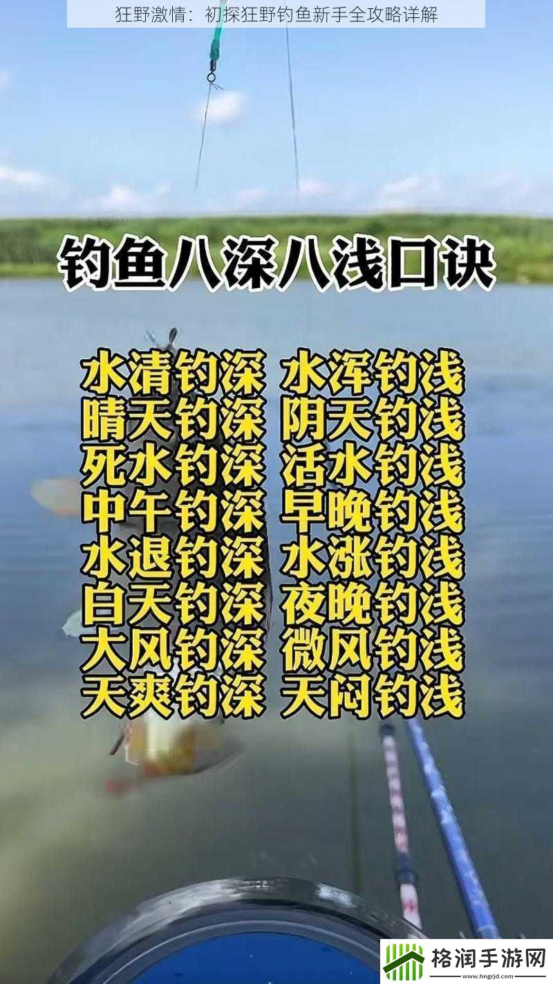 狂野激情
