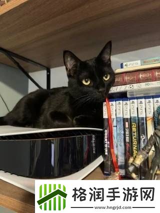 猫猫趴在PS5上不愿离开!玩家