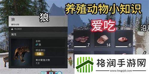 七日世界养什么动物好