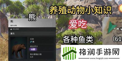 七日世界养什么动物好