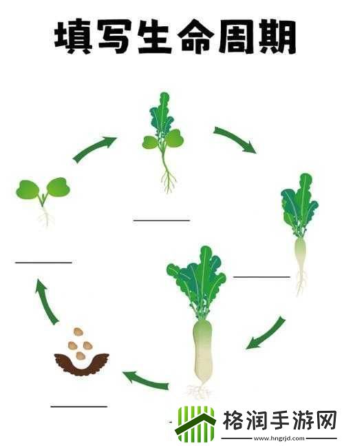 怎么拔萝卜更快