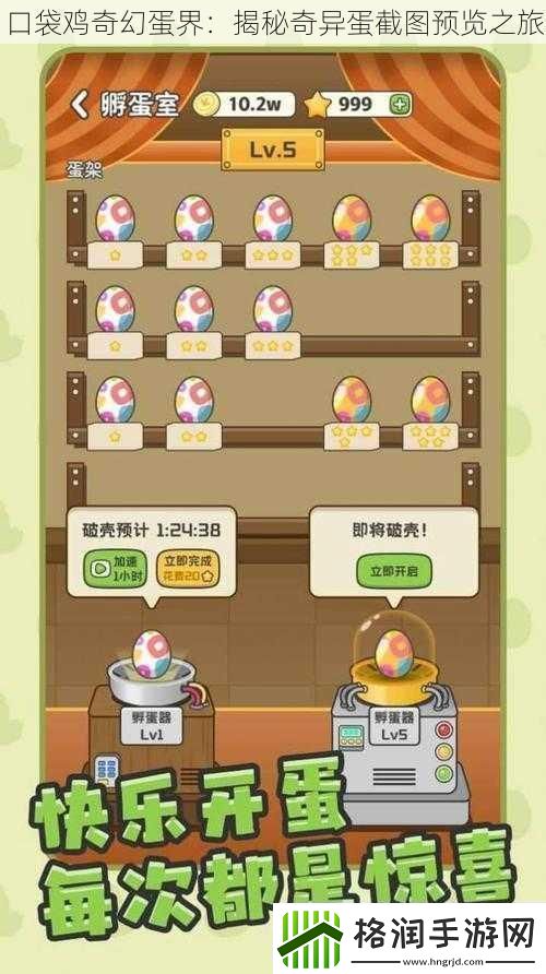 口袋鸡奇幻蛋界