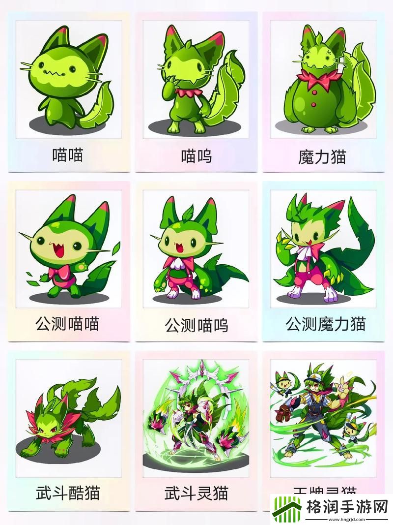 洛克王国减肥猫怎么玩