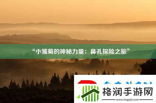 “小雏菊的神秘力量