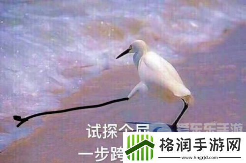 鹅米猪三厂夹击