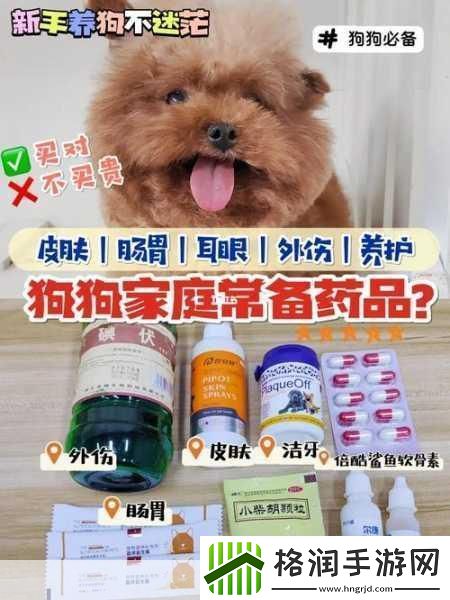 人狗胶配方大全免费
