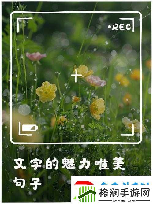 最好好看的中文字幕