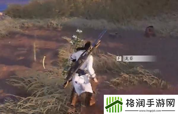 燕云十六声杏花不见的获取方法及详细攻略分享