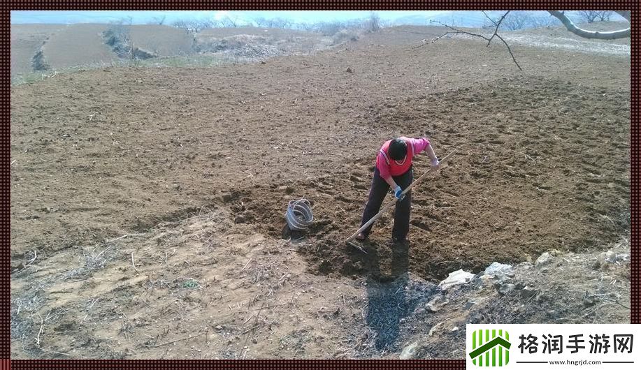 耕了母亲荒废土地