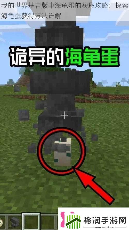 我的世界基岩版中海龟蛋的获取攻略