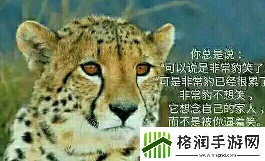 你不知道你不在乎你只关心你自己是什么梗络用语