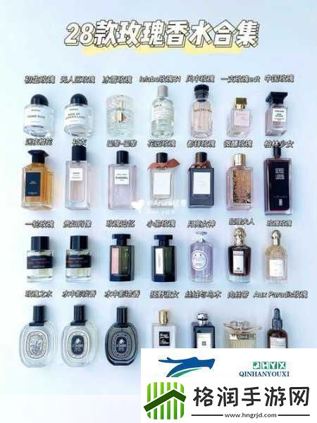 夜色玫瑰比无人区玫瑰贵多少