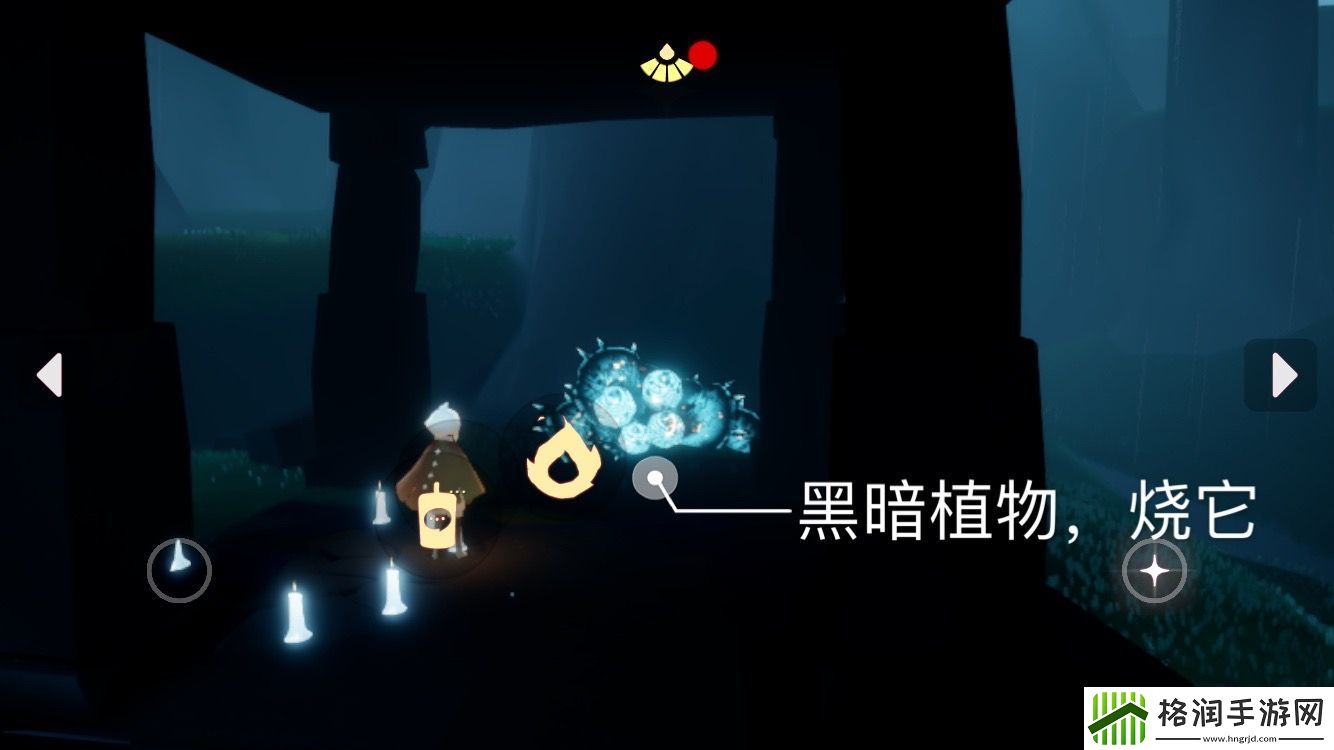 Sky光遇11.14每日任务