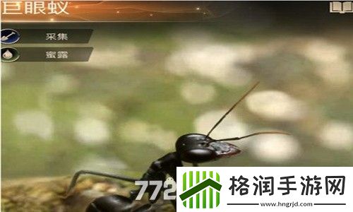 小小蚁国巨眼蚁强不强