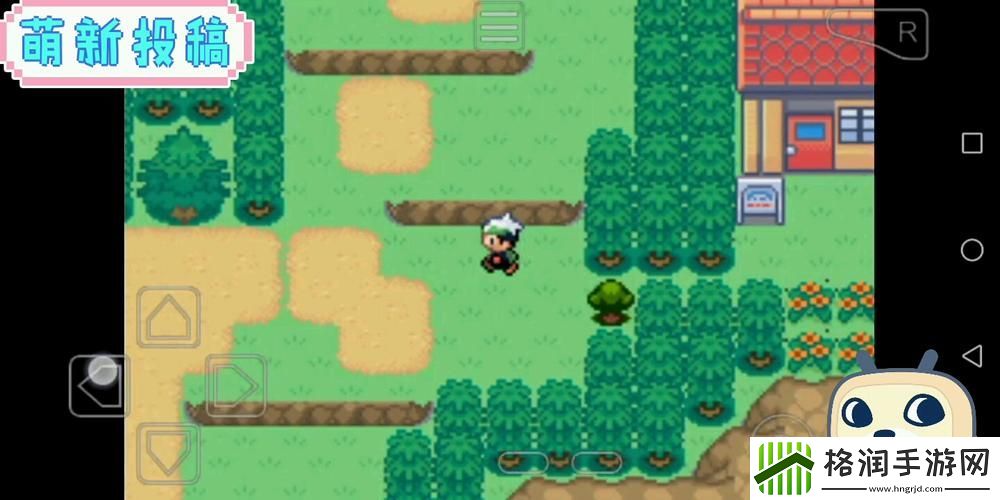 口袋妖怪永恒之末攻略视频