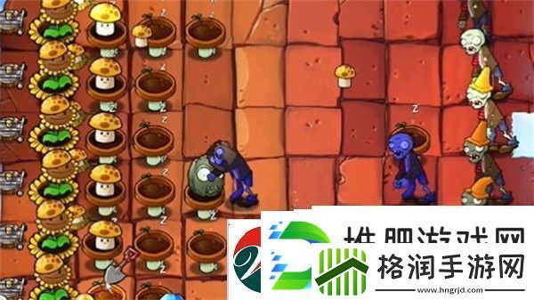 植物大战僵尸杂交版冒险模式第45关怎么过