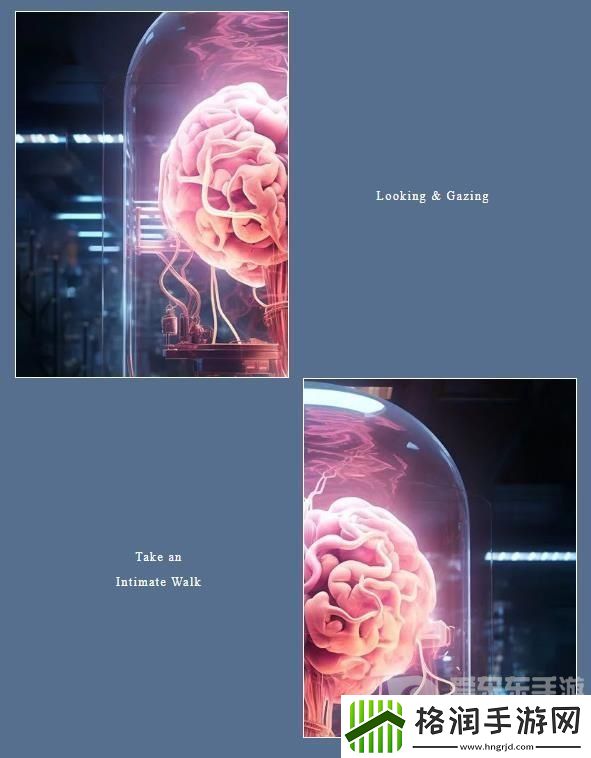 百变大侦探大脑归处凶手是谁