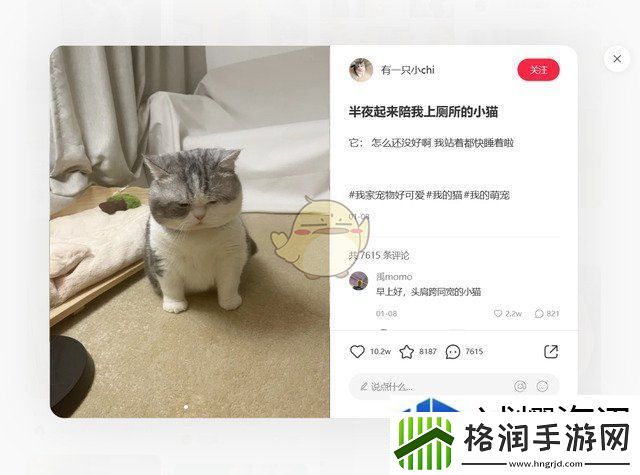 限定活动的参与