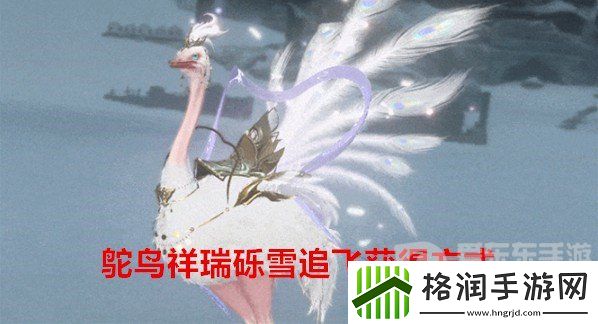 逆水寒手游鸵鸟祥瑞砾雪追飞如何获得