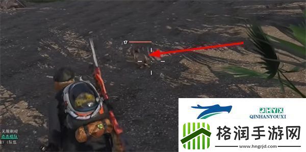 七日世界夺命兔怎么获得夺命兔获取方法