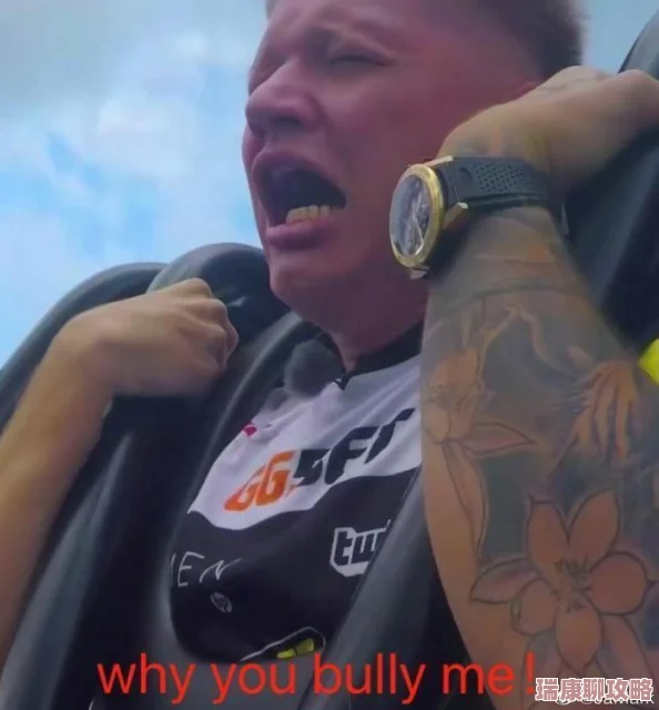 理解暴躁老阿姨csgo图片高清的魅力与趣味