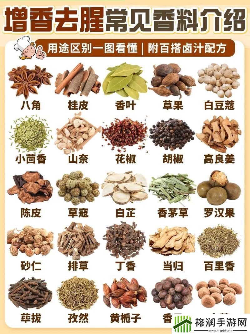 “火锅界的小清新