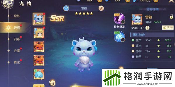 天启圣源宠物搭配攻略