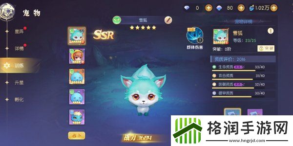 天启圣源宠物搭配攻略