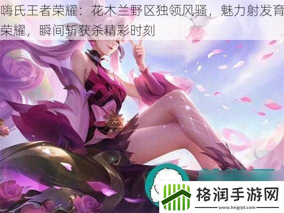 嗨氏王者荣耀