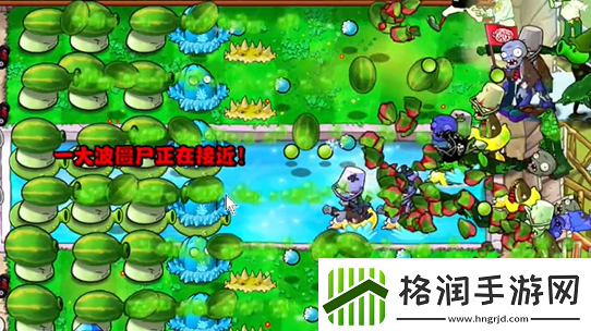 植物大战僵尸杂交版泳池防守第六关怎么过植物大战僵尸杂交版泳池防守第6关攻略