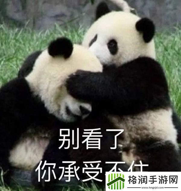 笋都被你夺完了梗意思、含义、出处介绍