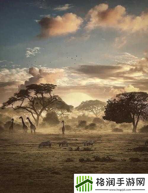 色哟哟非洲带你领略神秘而独特的非洲风情世界