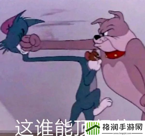 笋都被你夺完了梗意思、含义、出处介绍