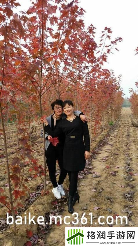 探讨“无敌神马影视影院在线”的独特魅力与观影体验