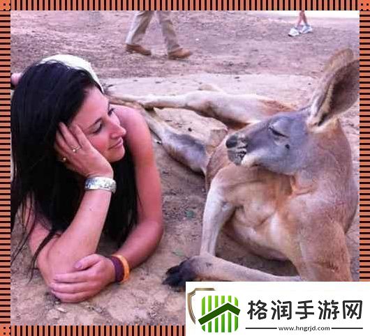 “奇趣互动！高清时代的人物与动物‘吵架’日常