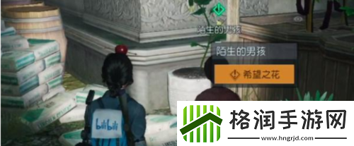 黎明觉醒希望之花任务怎么做