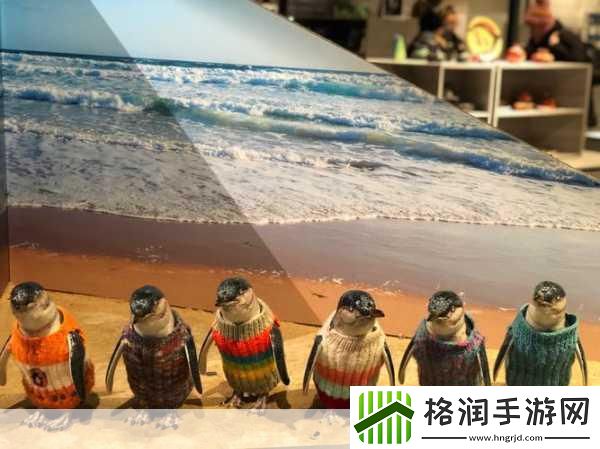 萌企鹅乐园中文版上线